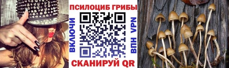Галлюциногенные грибы мухоморы Кудымкар