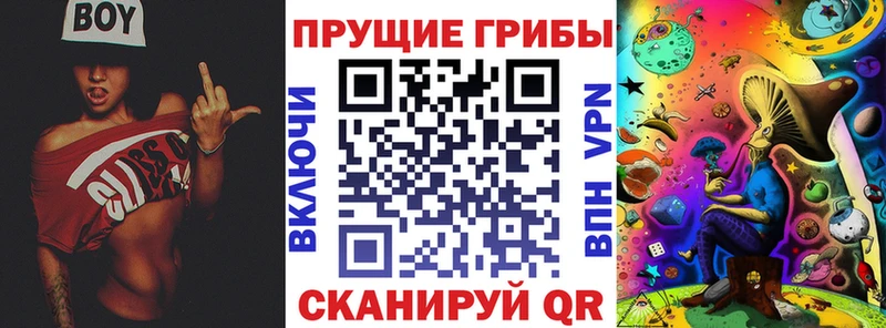 наркота  Кудымкар  Псилоцибиновые грибы Psilocybe 